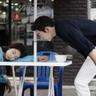 训狗知识宠物狗品种